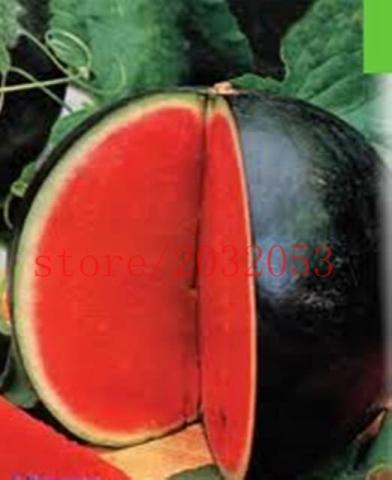  البطيخ الأسود .... أحد أصناف البطيخ الياباني الغريبة 20263-15649387716052008