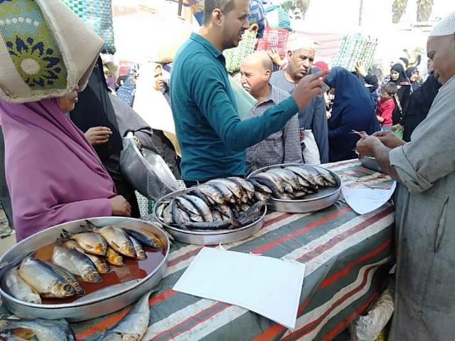 اعدام 50 كيلو سمك سردين و100 كيلو خضار بالمنوفية الرأي العام
