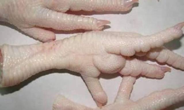 ارجل الدجاج ارشيفية