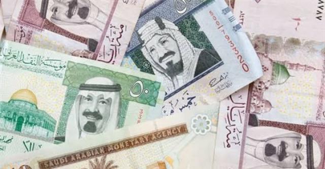 اسعار العملات العربية اليوم الثلاثاء