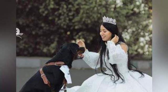 زواج فتاة مصرية من كلب