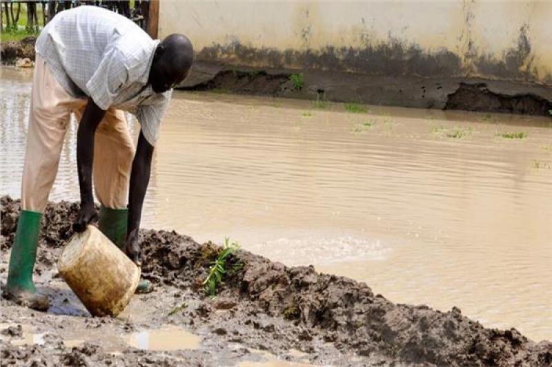 صورة ارشيفية