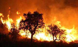 دمرت أربعة منازل.. الإطفاء والطائرت تواجه حرائق الغابات بفرنسا (فيديو)