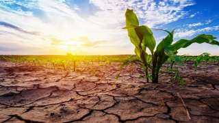 أستاذ بحوث بيئية: الجفاف يضع العالم في تحديات بسبب التغيرات المناخية