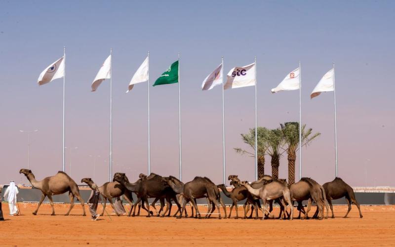 الرأي العام