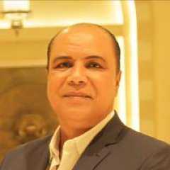 فين القانون؟