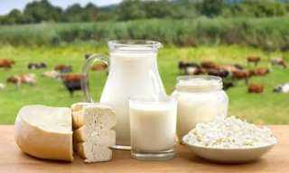 شعبة المواد الغذائية: انخفاض أسعار الجبن والألبان بنسبة 10% قريبًا