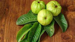 فوائد ورق الجوافة، وهذه أهميته في علاج أعراض البرد