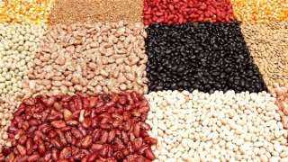 أسعار البقوليات اليوم الجمعة 13-1-2023 في مصر