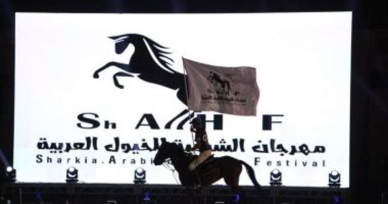 مهرجان الشرقية للخيول العربية