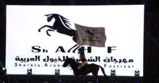 انطلاق الدورة الثالثة لـ”هى الفنون” والدورة الـ27 لمهرجان الشرقية للخيول