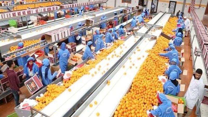 الرأي العام