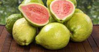 موسم ملكة الفواكه.. تعرف على أبرز 10 فوائد صحية للجوافة