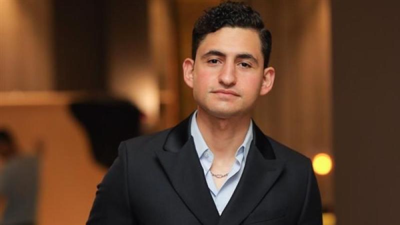 فن أمير المصري