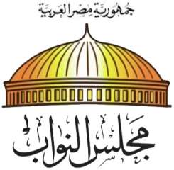 تفاصيل طلب إحاطة بشأن احتكار السلع الاستراتيجية