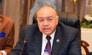 النائب وحيد قرقر يدعو المصريين بالخارج للمشاركة بكثافة في الانتخابات الرئاسية