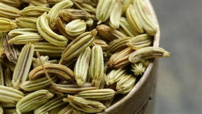 الشمر مفيد للمرأة الحامل