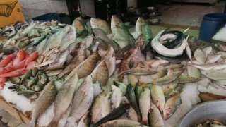 أسعار الأسماك اليوم الأحد 3-12-2023 في الأسواق.. البلطي بـ52 جنيها