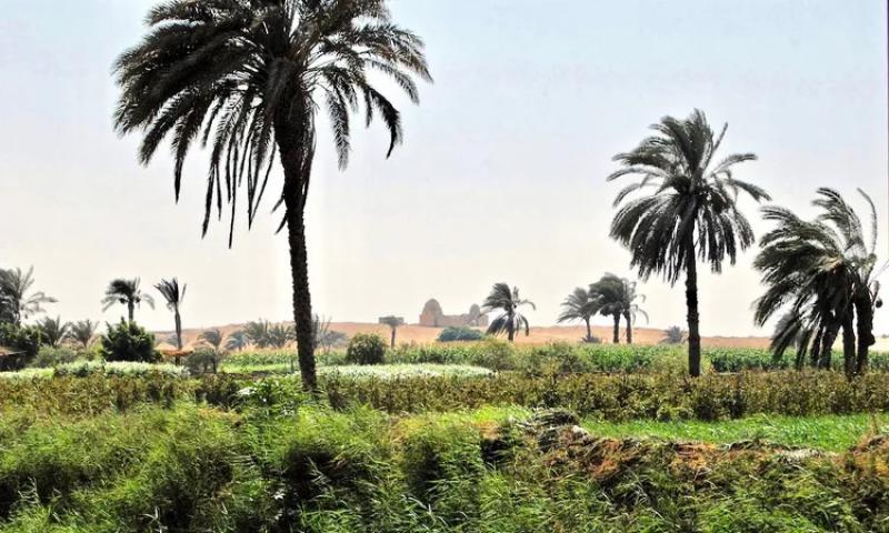 درجة الحرارة بالفيوم