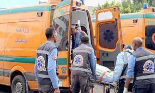 مصرع طالب على يد آخر في مشاجرة بكفر الشيخ