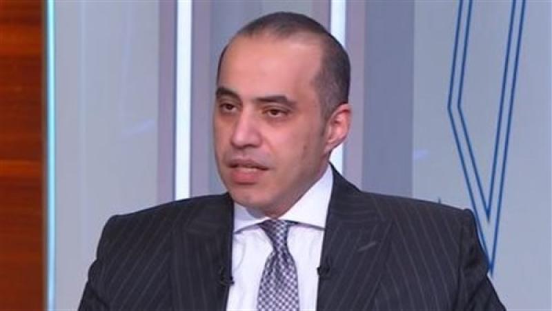 المستشار محمود فوزى