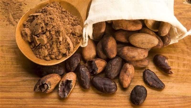 الكاكاو وفوائده
