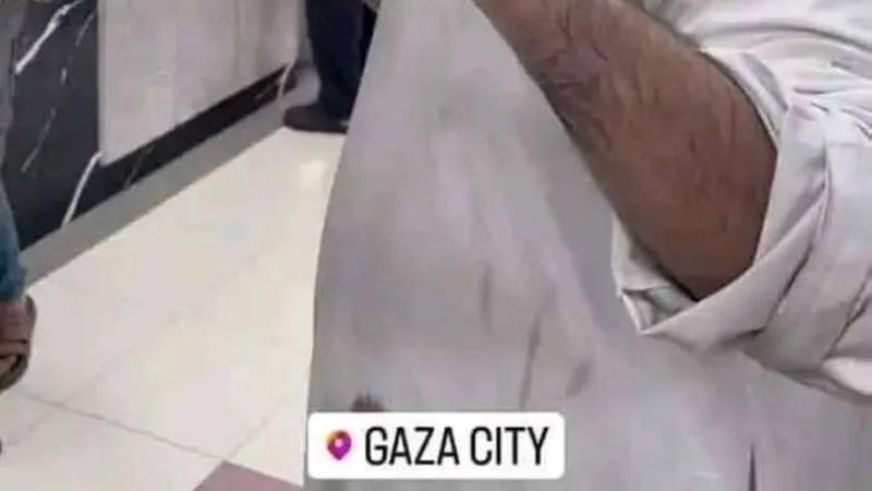 صاحبة جملة «متعيطش يا زلمة»