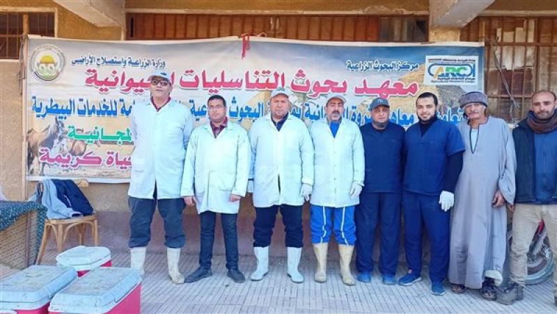 معهد التناسليات الحيوانية