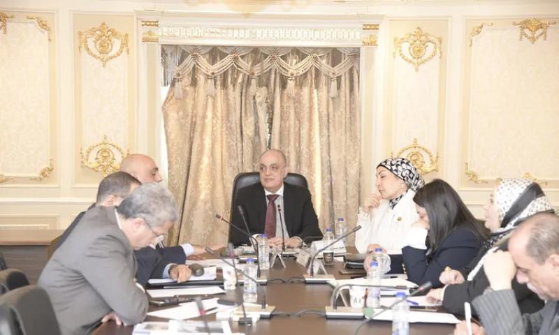 لجنة المشروعات الصغيرة