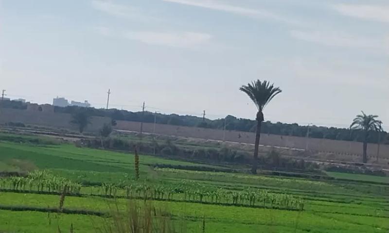 طقس أسيوط
