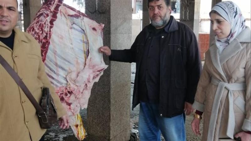 الطب البيطري بكفر الشيخ