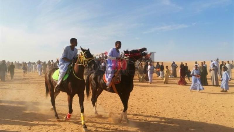 مرماح الخيول