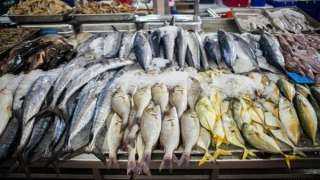 أسعار الأسماك اليوم، سمك المكرونة يرتفع لـ 125 جنيهًا في سوق العبور