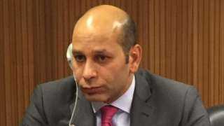 أيمن نصري: مرافعة مصر أمام  العدل الدولية  يؤكد دورها الهام في توثيق التجاوزات والانتهاكات