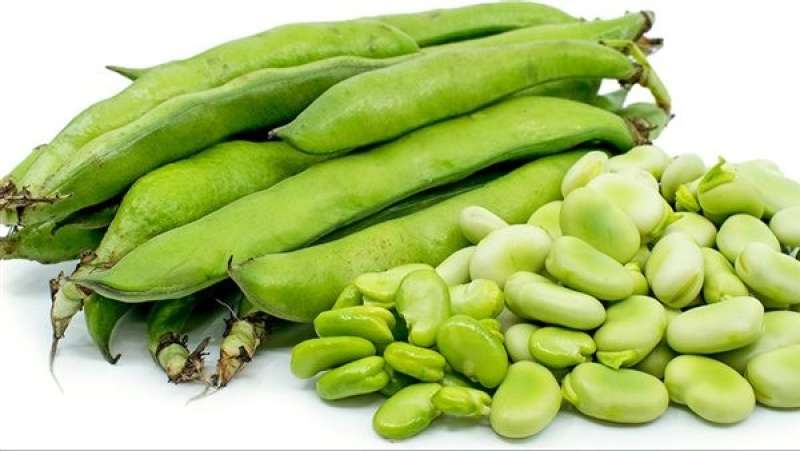 فوائد الفول الأخضر