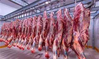 أسعار اللحوم اليوم الأربعاء 27 مارس والكندوز بـ 370 جنيهًا