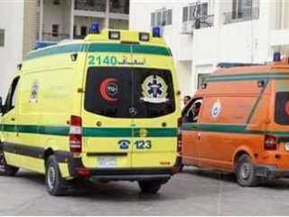 مصرع عامل وإصابة 11 آخرين في انقلاب سيارة ربع نقل بالشرقية