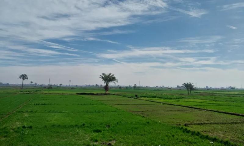 طقس أسيوط الخميس