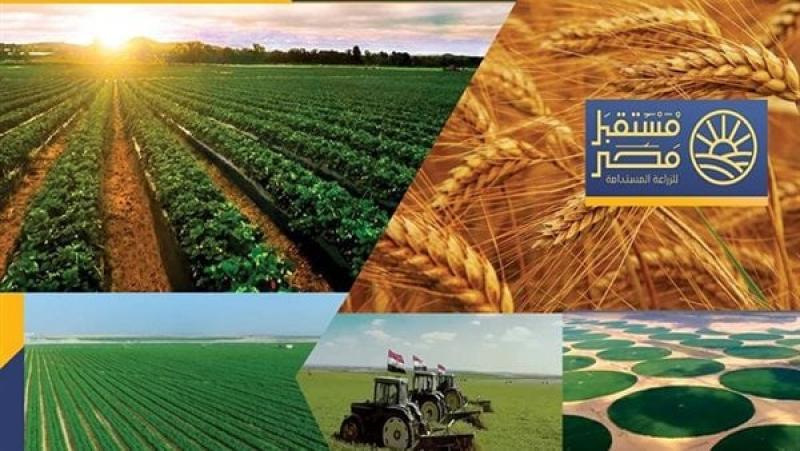 مشروع مستقبل مصر