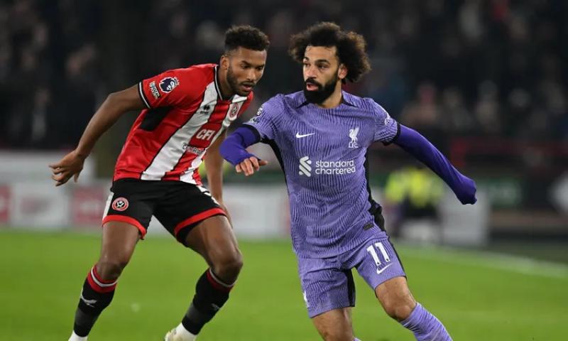 ليفربول وشيفيلد