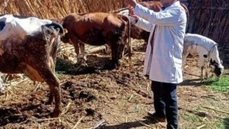 القوافل البيطرية