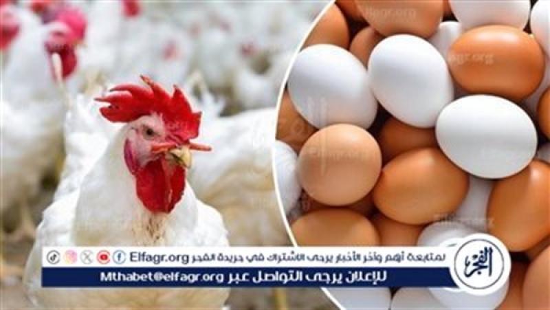 الدواجن والبيض