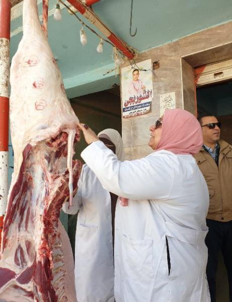 الرأي العام