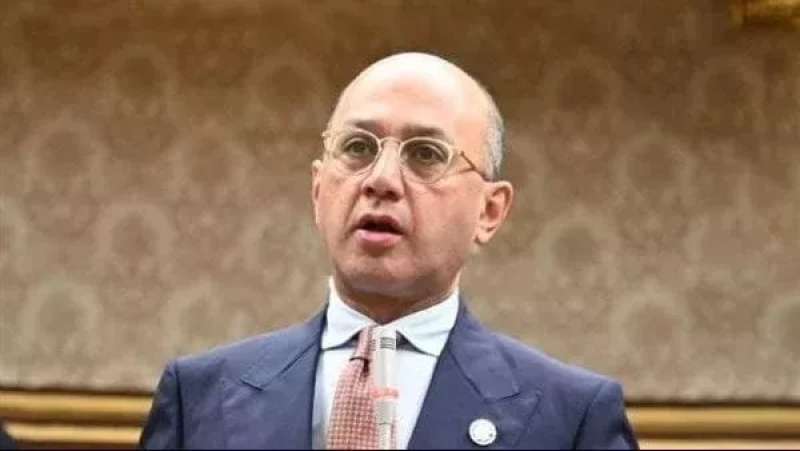 النائب هشام حسين