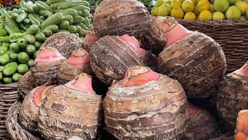 أسعار الخضراوات في سوق العبور للجملة اليوم الخميس