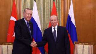 تاس الروسية: بوتين يتفق مع أردوغان على زيارة مرتقبة لأنقرة