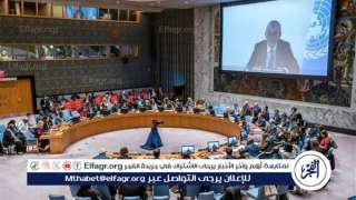 مجلس الأمن يصوت الجمعة على طلب فلسطين الحصول على  العضوية