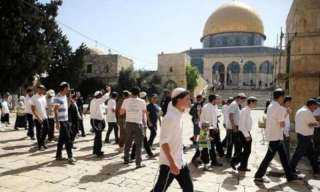 في عيد الفصح.. عشرات المستوطنين يقتحمون باحات المسجد الأقصى