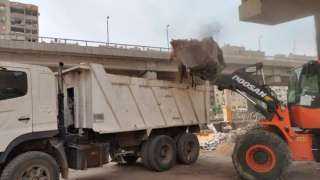 رفع 7 آلاف طن مخلفات وقمامة من شارع المنشية بالهرم