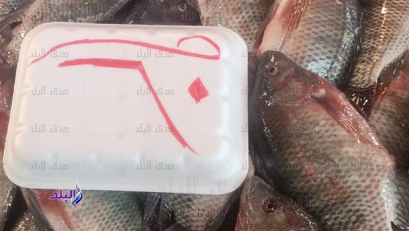 تسعيرة إجبارية للأسماك ثاني أيام العودة فى بورسعيد